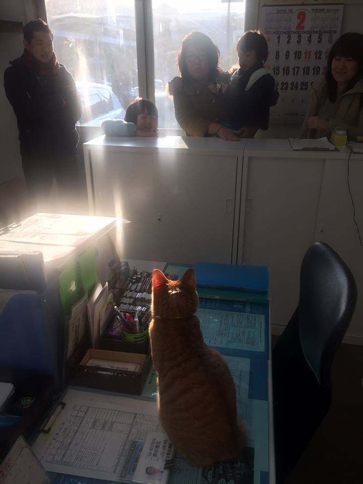 f:id:nichieitaxi:20160131172319j:plain f:id:nichieitaxi:20160131172319j:plain