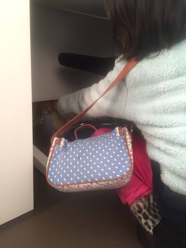 f:id:nichieitaxi:20160131172431j:plain f:id:nichieitaxi:20160131172431j:plain