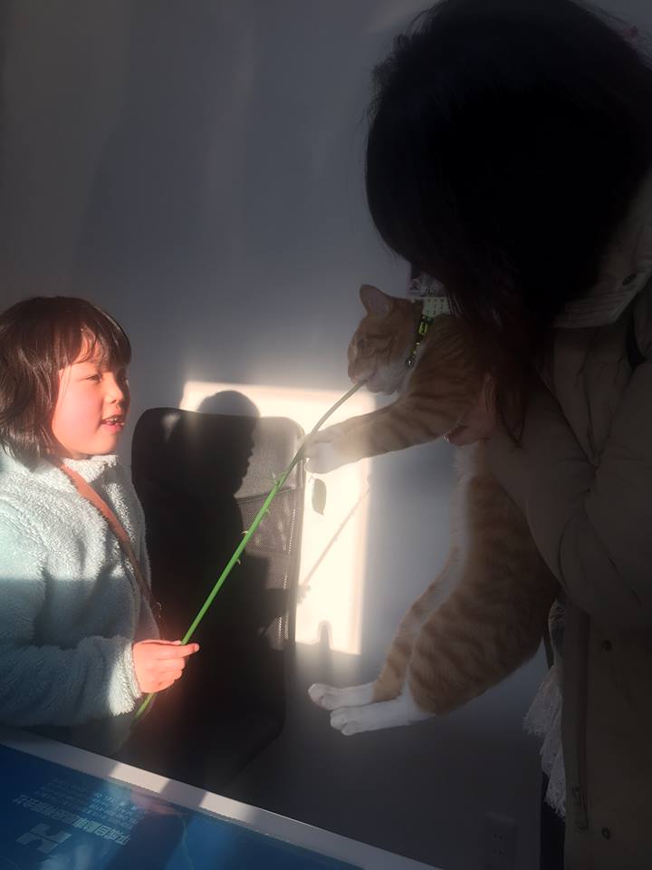 f:id:nichieitaxi:20160131172533j:plain f:id:nichieitaxi:20160131172533j:plain