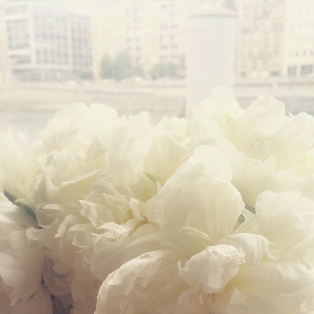 f:id:nico1984:20150622153945j:image f:id:nico1984:20150622153945j:image