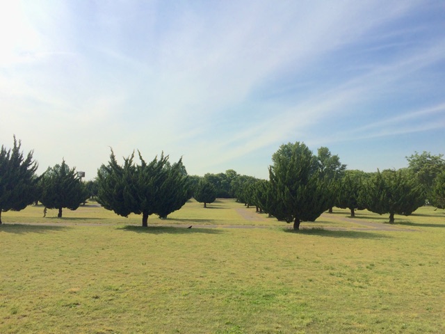 f:id:nicolaus92:20150518165203j:plain f:id:nicolaus92:20150518165203j:plain