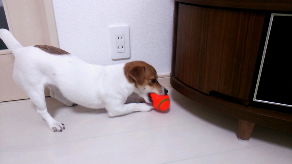 f:id:nicosugi:20160302171354j:plain f:id:nicosugi:20160302171354j:plain