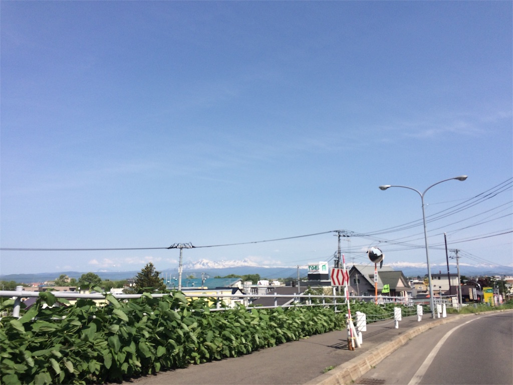 f:id:nidonenidone:20160522222256j:image f:id:nidonenidone:20160522222256j:image