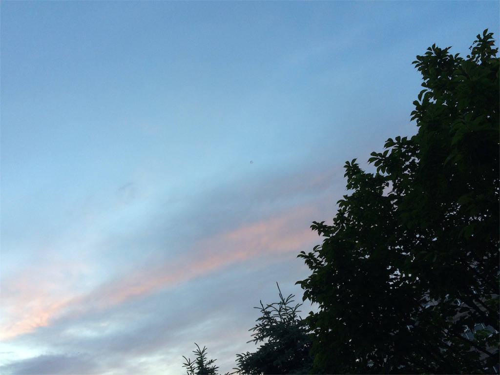 f:id:nidonenidone:20160616002128j:image f:id:nidonenidone:20160616002128j:image