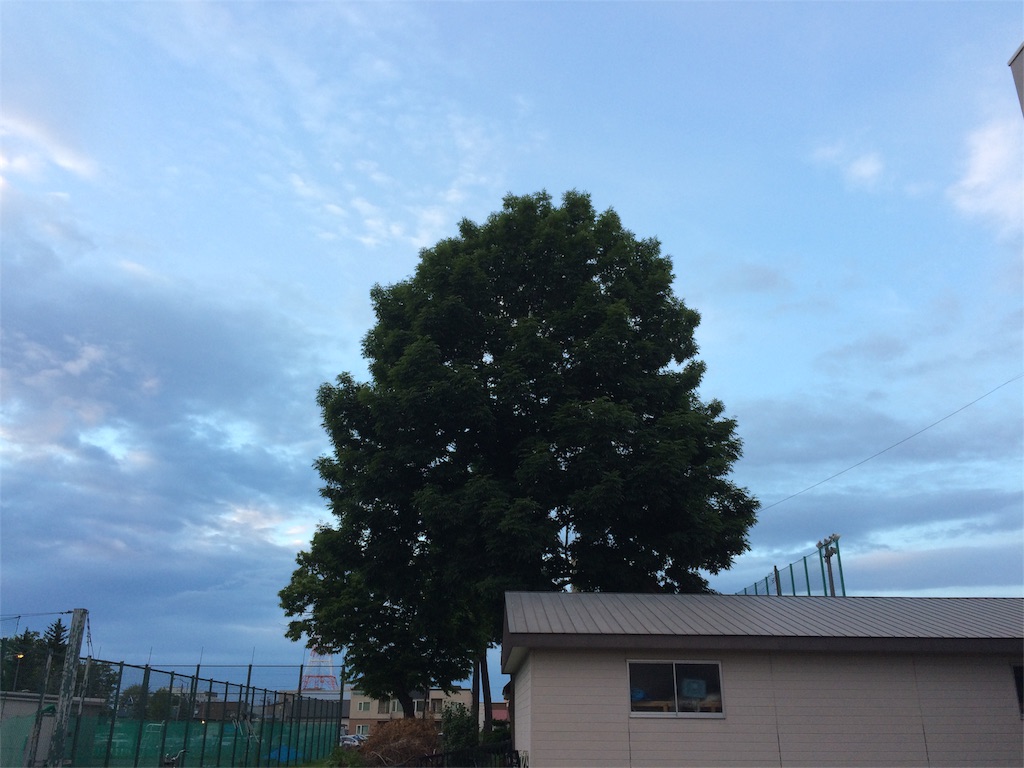 f:id:nidonenidone:20160626225914j:image f:id:nidonenidone:20160626225914j:image