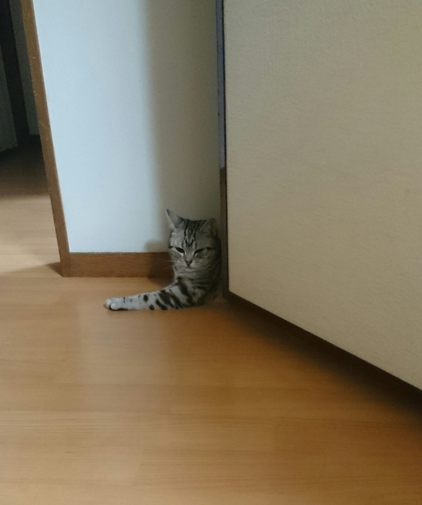 f:id:nifajawon:20150428220539j:plain