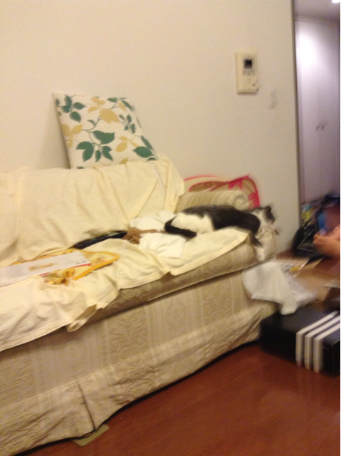 f:id:nightbattle:20130822204440j:plain f:id:nightbattle:20130822204440j:plain
