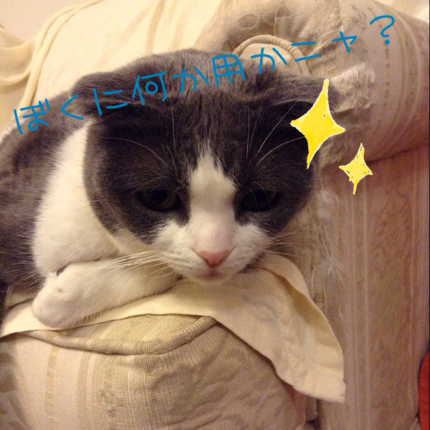 f:id:nightbattle:20130825011736j:plain f:id:nightbattle:20130825011736j:plain