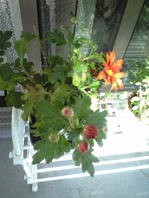 f:id:nightcrawler:20111031150643j:image f:id:nightcrawler:20111031150643j:image