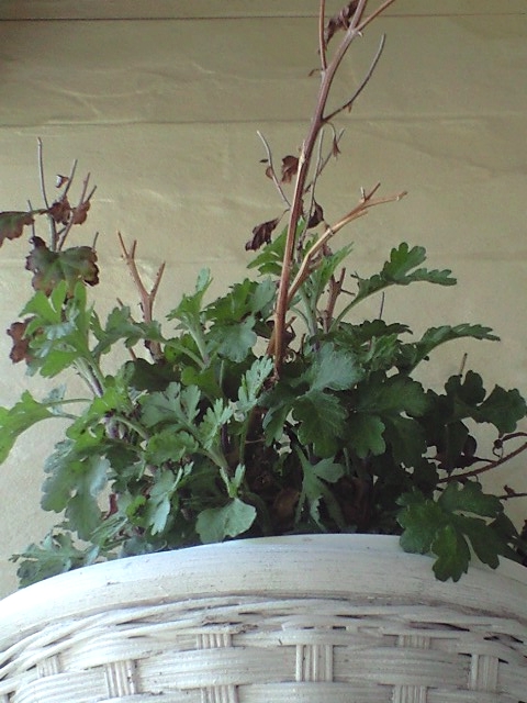 f:id:nightcrawler:20120507131333j:image f:id:nightcrawler:20120507131333j:image