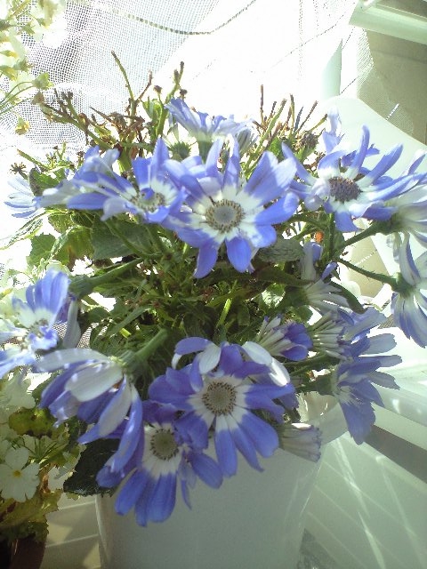 f:id:nightcrawler:20120507131335j:image f:id:nightcrawler:20120507131335j:image