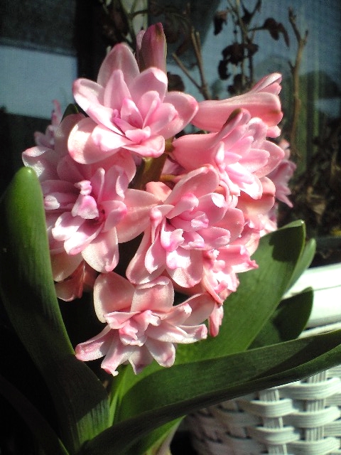 f:id:nightcrawler:20120507131337j:image f:id:nightcrawler:20120507131337j:image