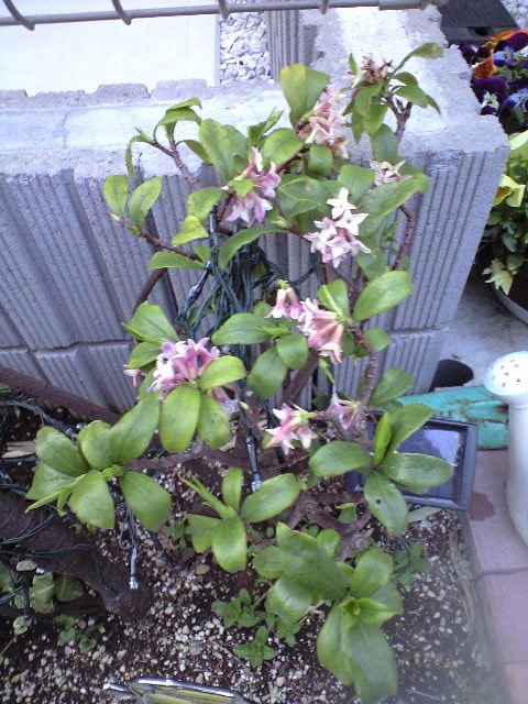 f:id:nightcrawler:20120507131338j:image f:id:nightcrawler:20120507131338j:image