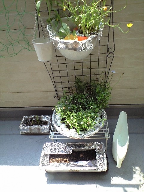 f:id:nightcrawler:20120612112727j:plain f:id:nightcrawler:20120612112727j:plain