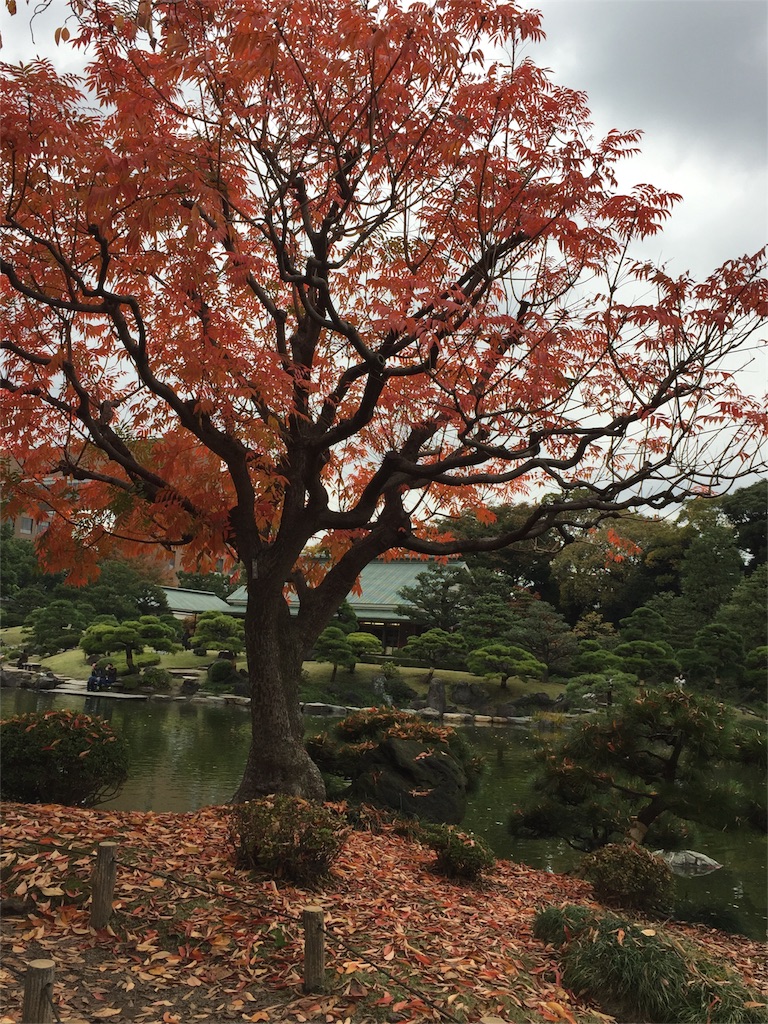 f:id:nigoriyu:20151118203641j:image f:id:nigoriyu:20151118203641j:image