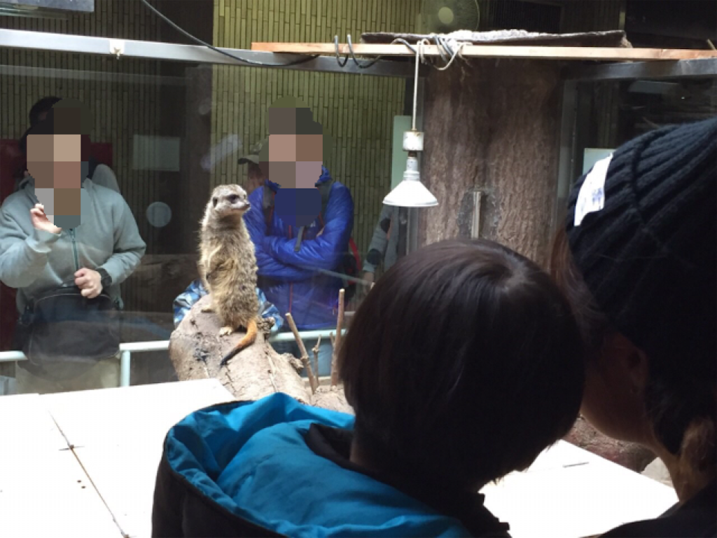 f:id:nigoriyu:20151124212737p:image f:id:nigoriyu:20151124212737p:image