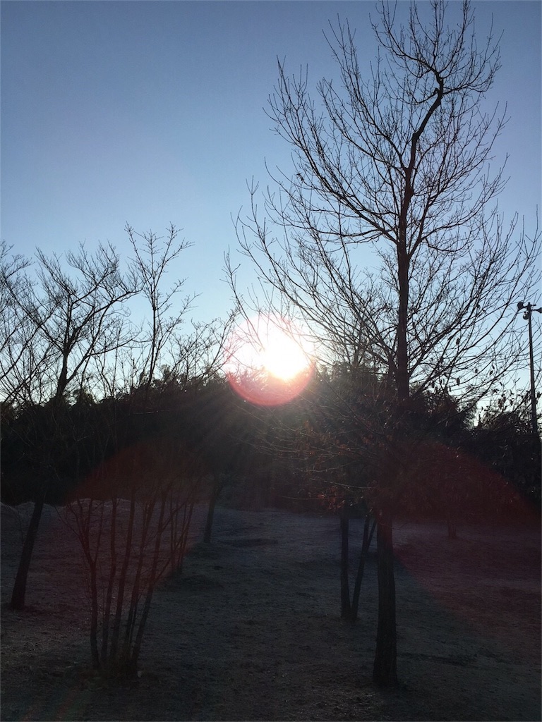 f:id:nigoriyu:20160107030711j:image f:id:nigoriyu:20160107030711j:image