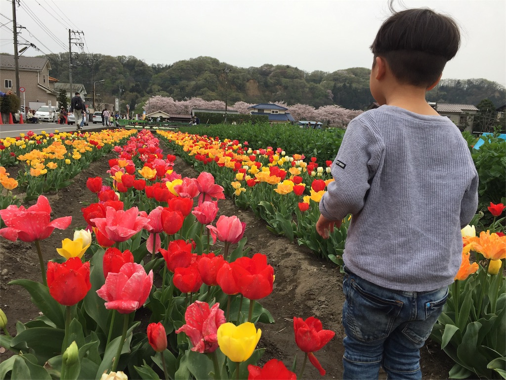 f:id:nigoriyu:20160415170118j:image f:id:nigoriyu:20160415170118j:image