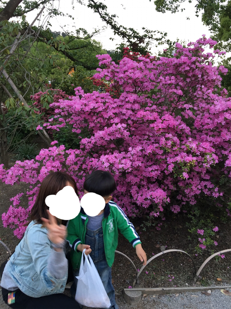 f:id:nigoriyu:20160501075139p:image f:id:nigoriyu:20160501075139p:image
