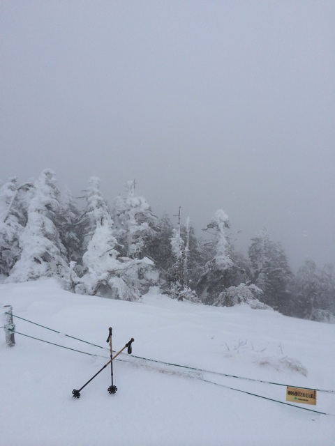 f:id:nihimoto:20141221093610j:plain f:id:nihimoto:20141221093610j:plain