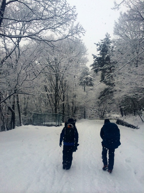 f:id:nihimoto:20150102161246j:plain f:id:nihimoto:20150102161246j:plain