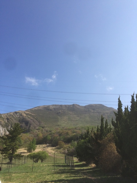 f:id:nihimoto:20150503081004j:plain f:id:nihimoto:20150503081004j:plain