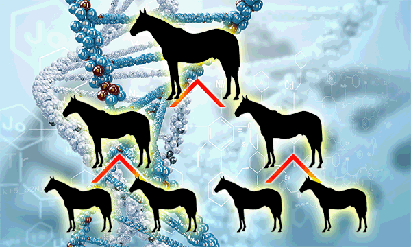 競馬,血統 競馬,血統