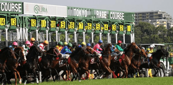 日本ダービー,枠順 日本ダービー,枠順