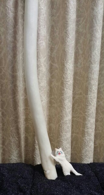 f:id:niichan-v:20150307215357j:image f:id:niichan-v:20150307215357j:image
