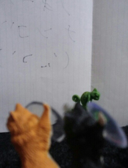 f:id:niichan-v:20150416232848j:image f:id:niichan-v:20150416232848j:image