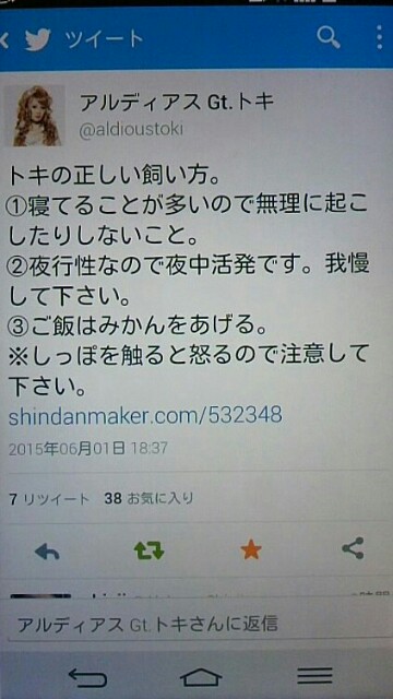 f:id:niichan-v:20150603135053j:image f:id:niichan-v:20150603135053j:image