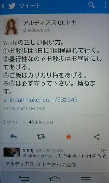 f:id:niichan-v:20150603135807j:image f:id:niichan-v:20150603135807j:image