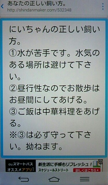 f:id:niichan-v:20150603145509j:image f:id:niichan-v:20150603145509j:image