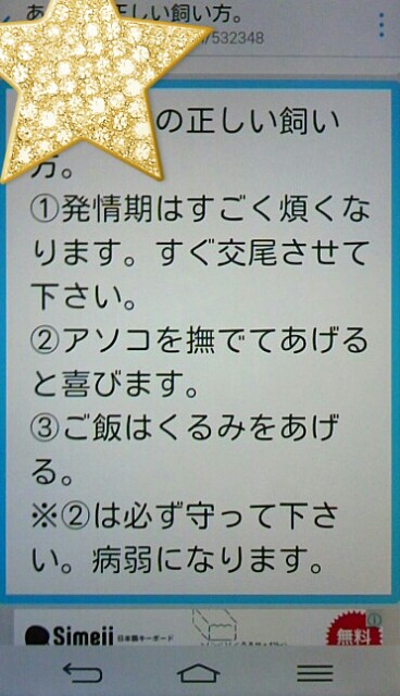 f:id:niichan-v:20150603145820j:image f:id:niichan-v:20150603145820j:image