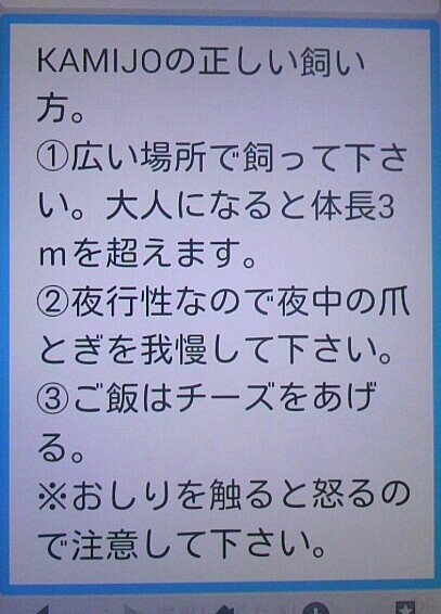f:id:niichan-v:20150603231700j:image f:id:niichan-v:20150603231700j:image