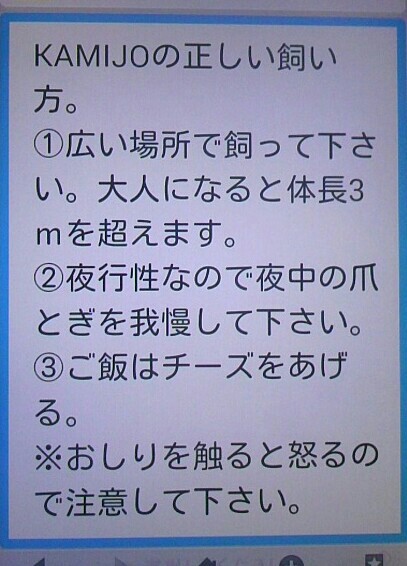 f:id:niichan-v:20150603231700j:image