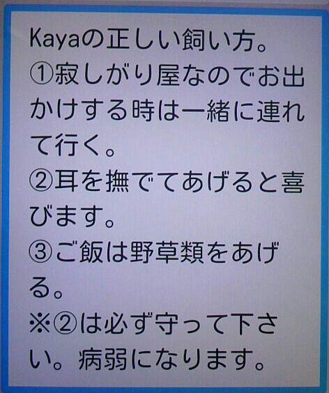 f:id:niichan-v:20150603231722j:image f:id:niichan-v:20150603231722j:image
