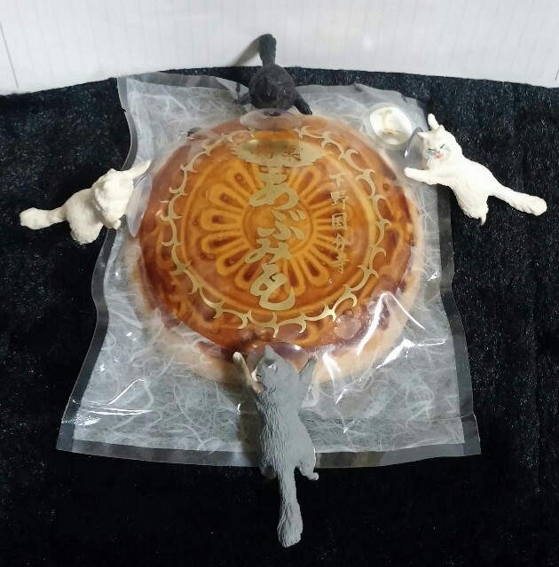 f:id:niichan-v:20150625214100j:image f:id:niichan-v:20150625214100j:image