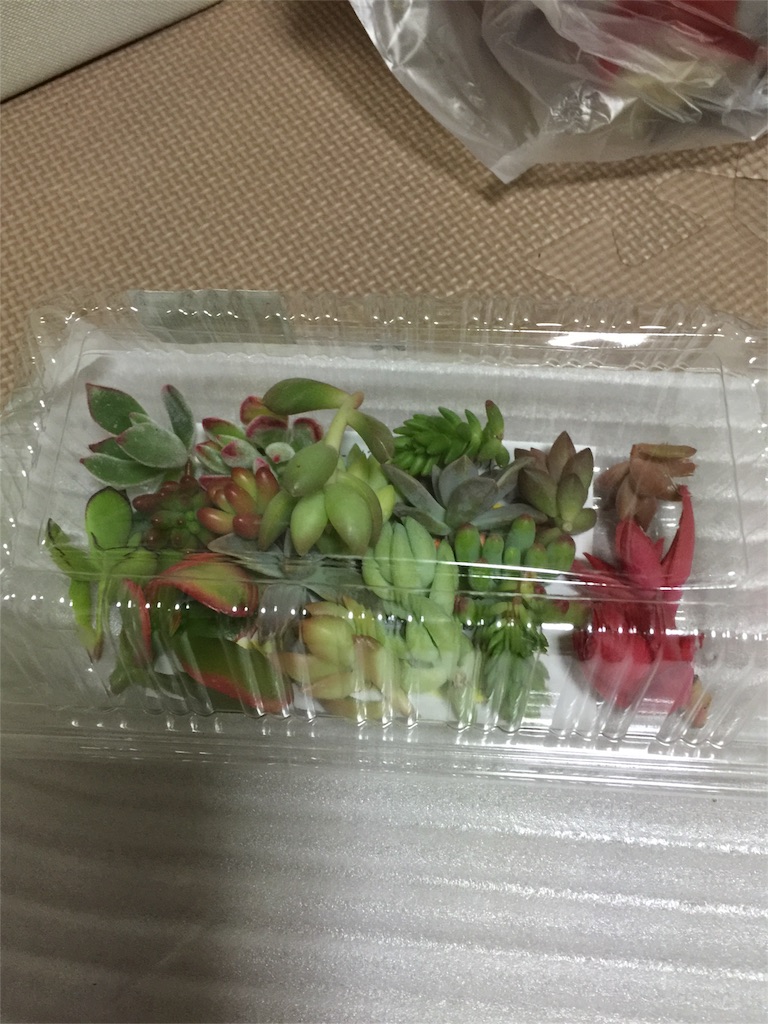 f:id:nijinosakini:20160410131617j:image f:id:nijinosakini:20160410131617j:image