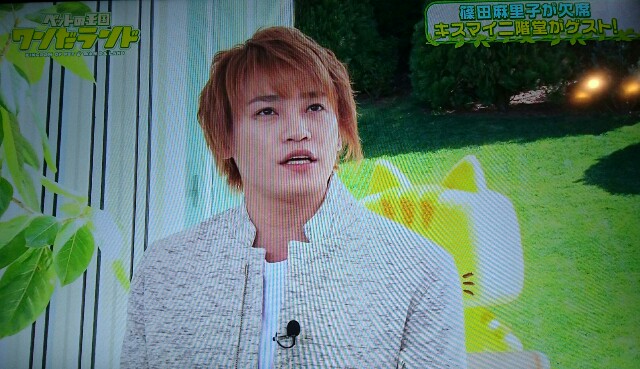f:id:nikachan__t:20160327145532j:image f:id:nikachan__t:20160327145532j:image