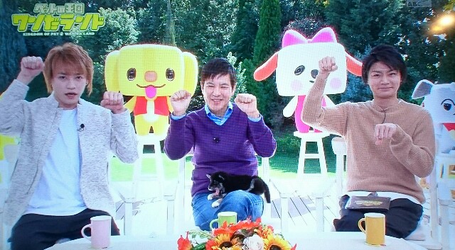 f:id:nikachan__t:20160327145858j:image f:id:nikachan__t:20160327145858j:image