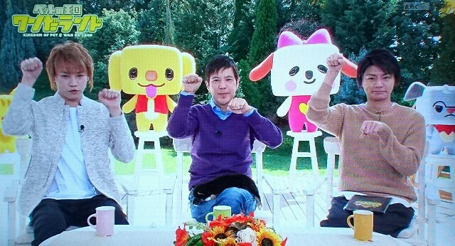 f:id:nikachan__t:20160327155034j:image f:id:nikachan__t:20160327155034j:image