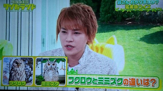f:id:nikachan__t:20160327181212j:image f:id:nikachan__t:20160327181212j:image