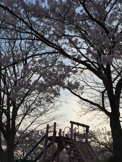 f:id:nikakoko:20150420032912j:plain f:id:nikakoko:20150420032912j:plain
