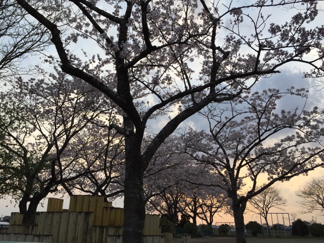 f:id:nikakoko:20150420032926j:plain f:id:nikakoko:20150420032926j:plain
