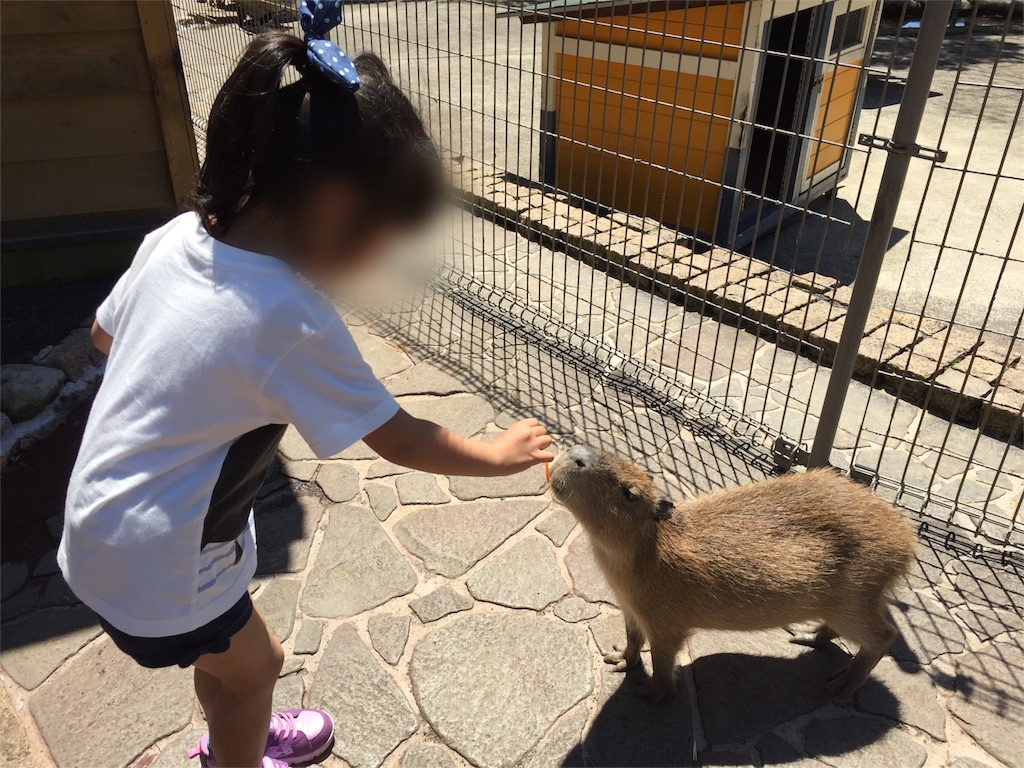 キリンに餌をやりにいこう！！伊豆アニマルキングダムに行ってきました 働くママの育児両立ブログ