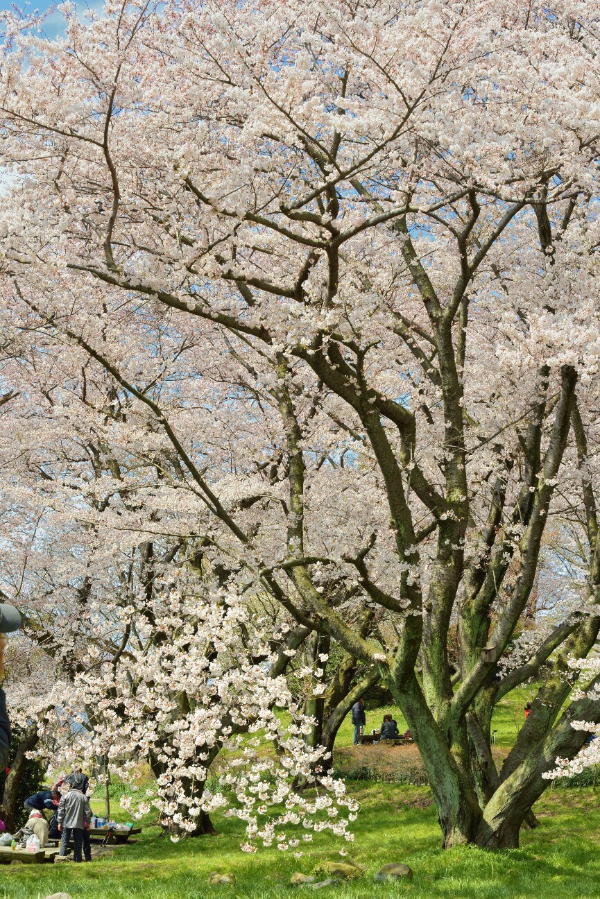 f:id:nikyon:20150301100931j:image f:id:nikyon:20150301100931j:image