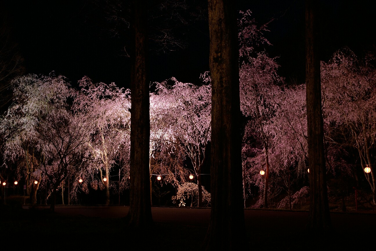 f:id:nikyon:20150424130942j:image f:id:nikyon:20150424130942j:image