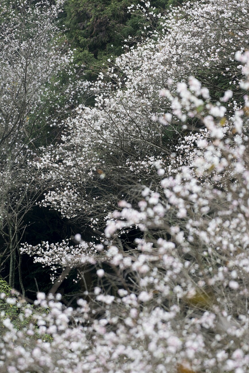 f:id:nikyon:20151110221641j:image f:id:nikyon:20151110221641j:image
