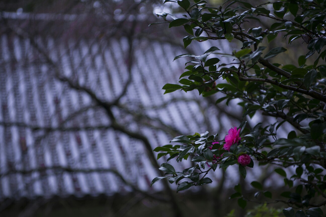 f:id:nikyon:20151117103243j:image f:id:nikyon:20151117103243j:image